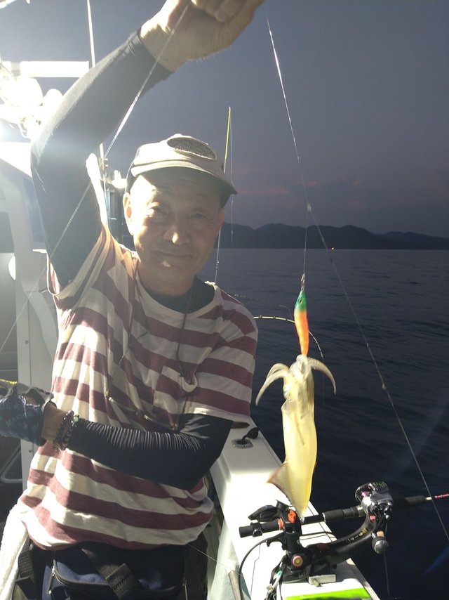 イカ(ケンサキイカ)