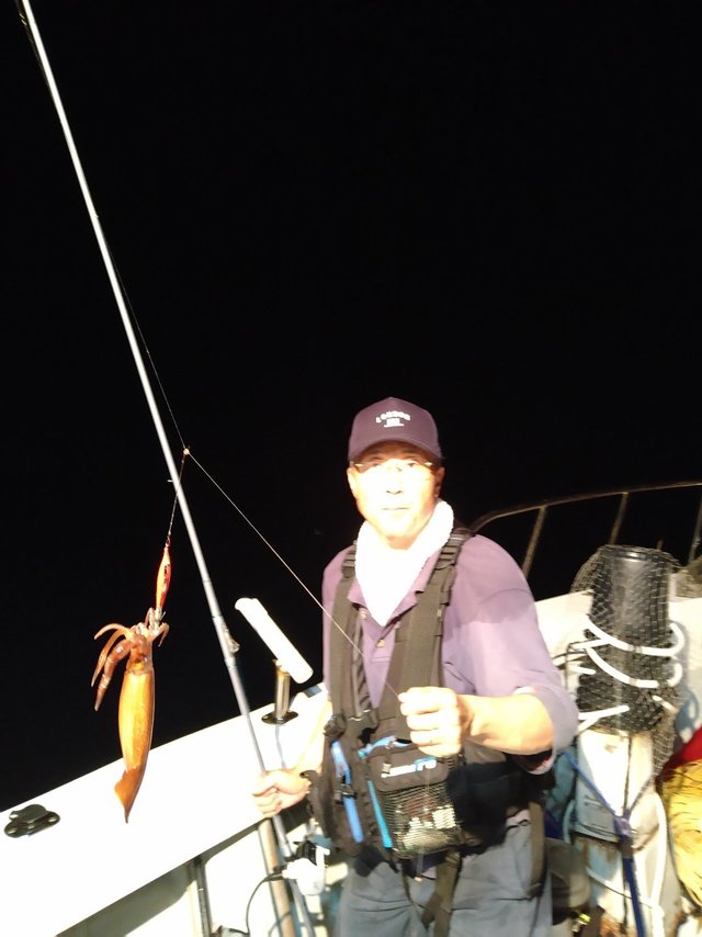 ケンサキ(ケンサキイカ)