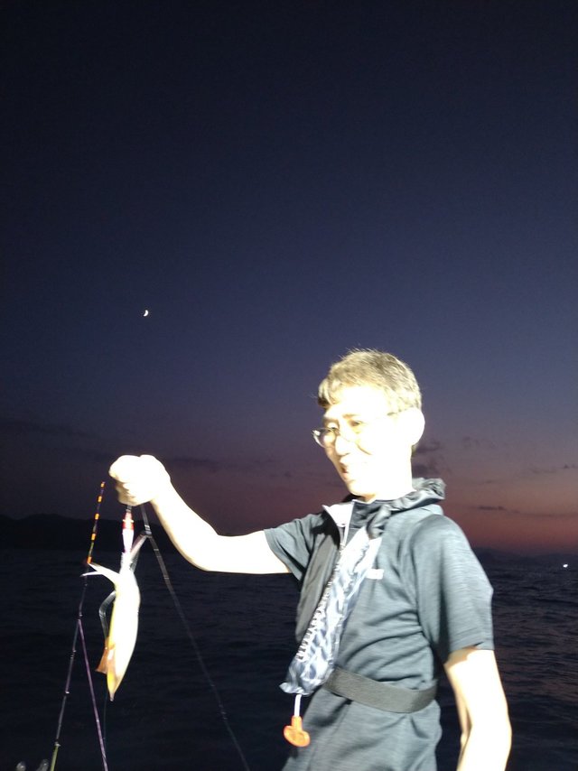 ケンサキ(ケンサキイカ)