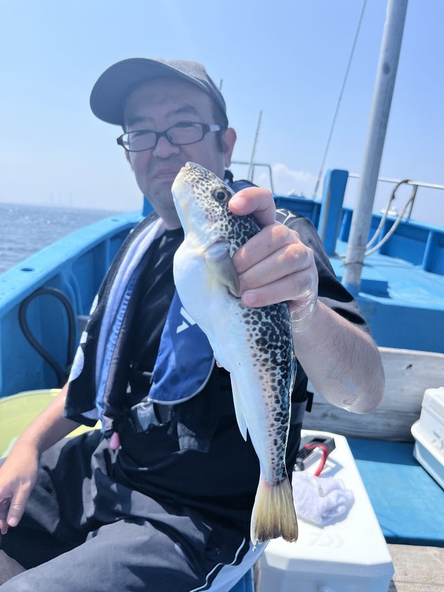 ショウサイフグ