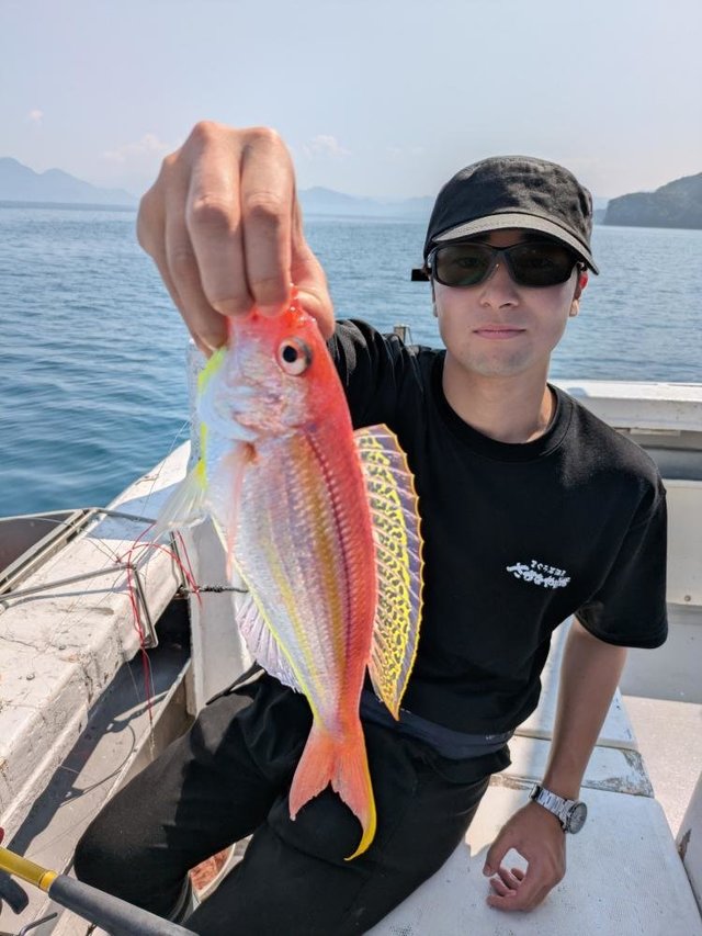 イトヨリ(イトヨリダイ)