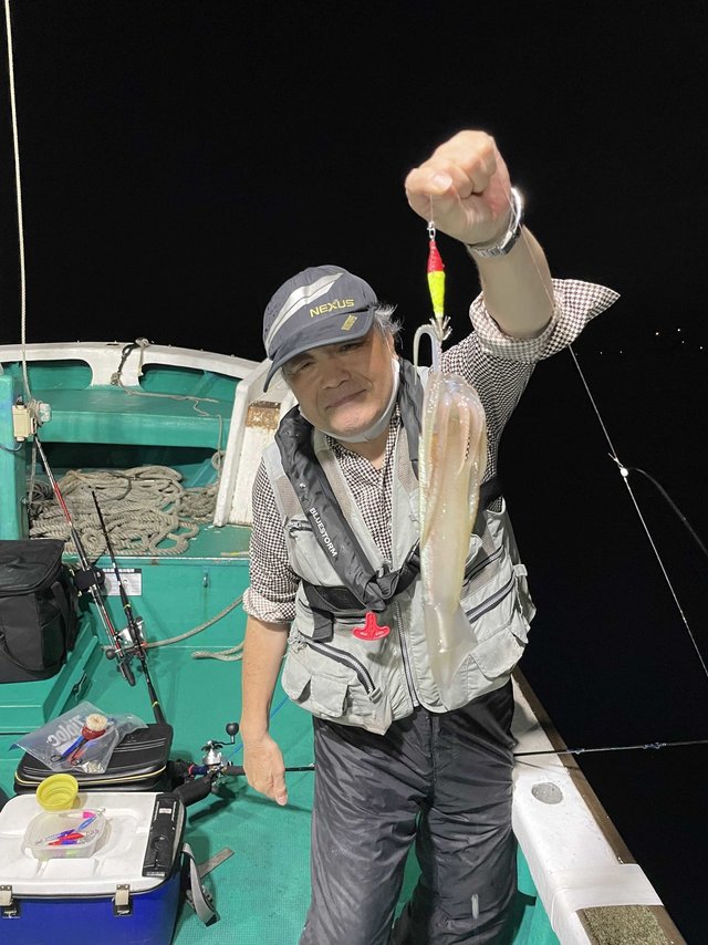 スルメ(スルメイカ)