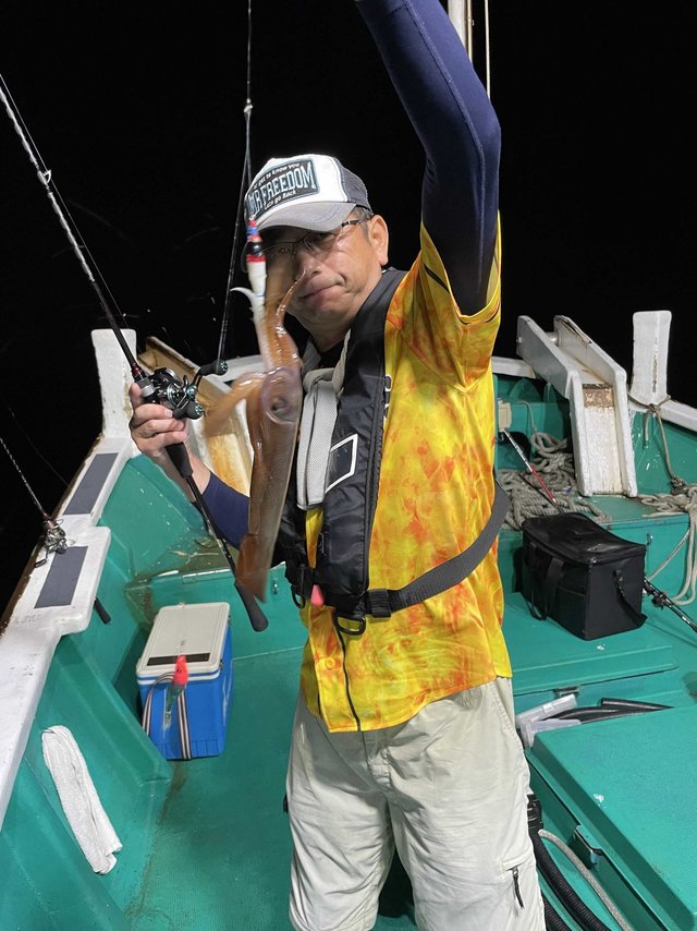 スルメ(スルメイカ)