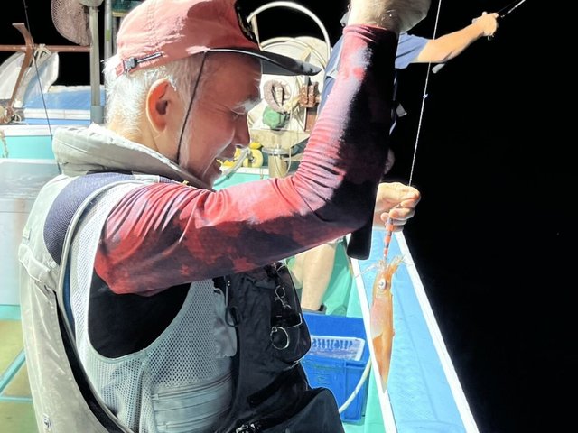 イカ(ケンサキイカ)