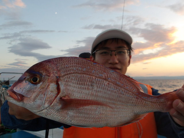 ハナダイ(チダイ)