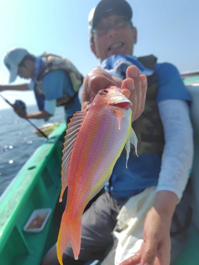 イトヨリ(イトヨリダイ)