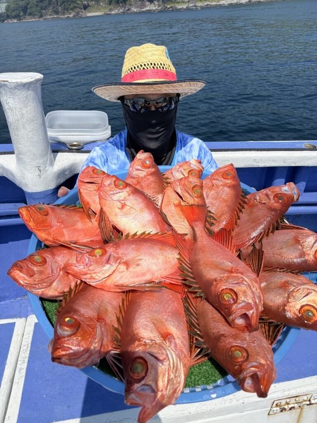 チカメ(チカメキントキ)