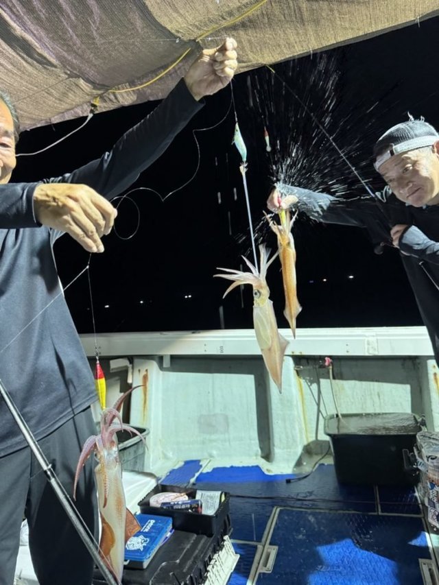 イカ(ケンサキイカ)