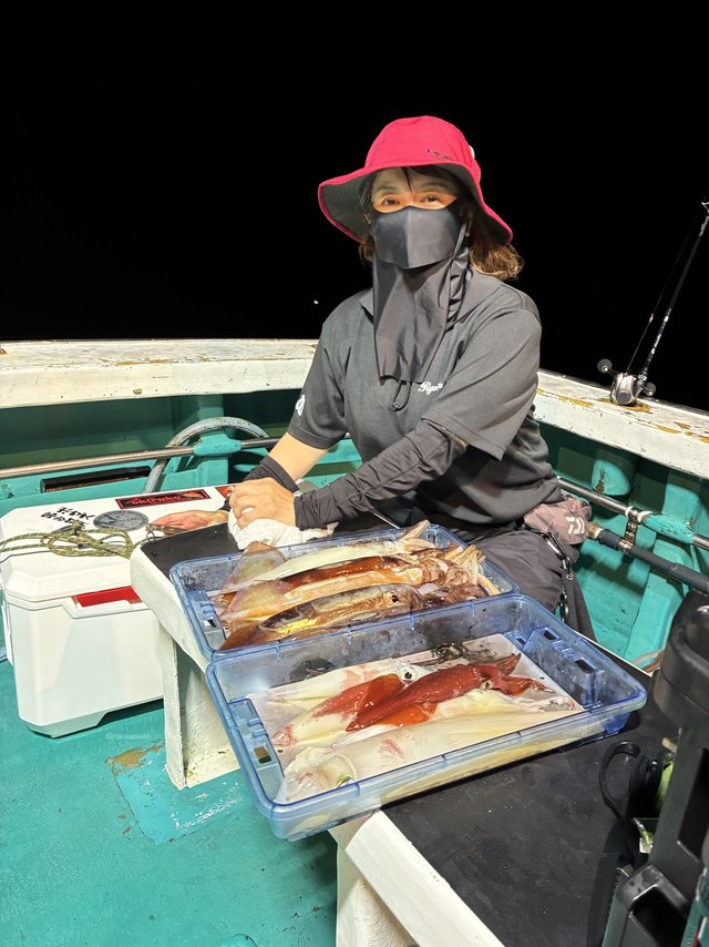 アカイカ(ケンサキイカ)