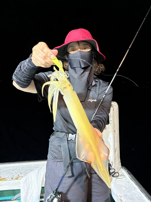 アカイカ(ケンサキイカ)