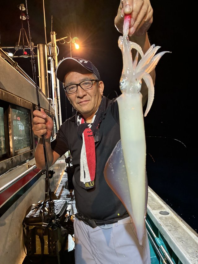 アカイカ(ケンサキイカ)