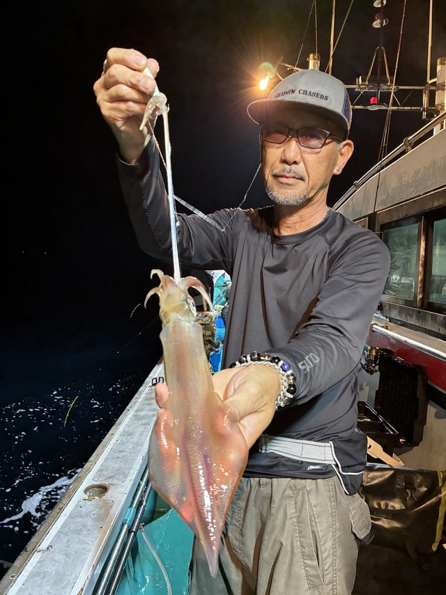 アカイカ(ケンサキイカ)