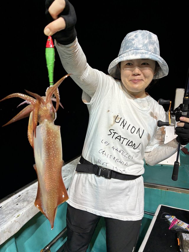 アカイカ(ケンサキイカ)