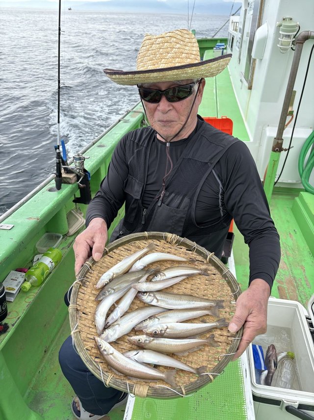 キス(シロギス)