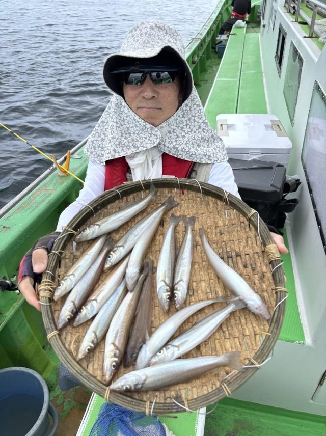 キス(シロギス)