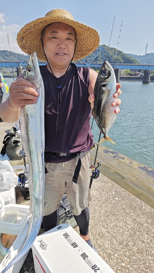 アジ(マアジ)・タチウオ