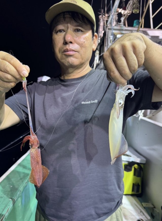 マルイカ(ケンサキイカ)