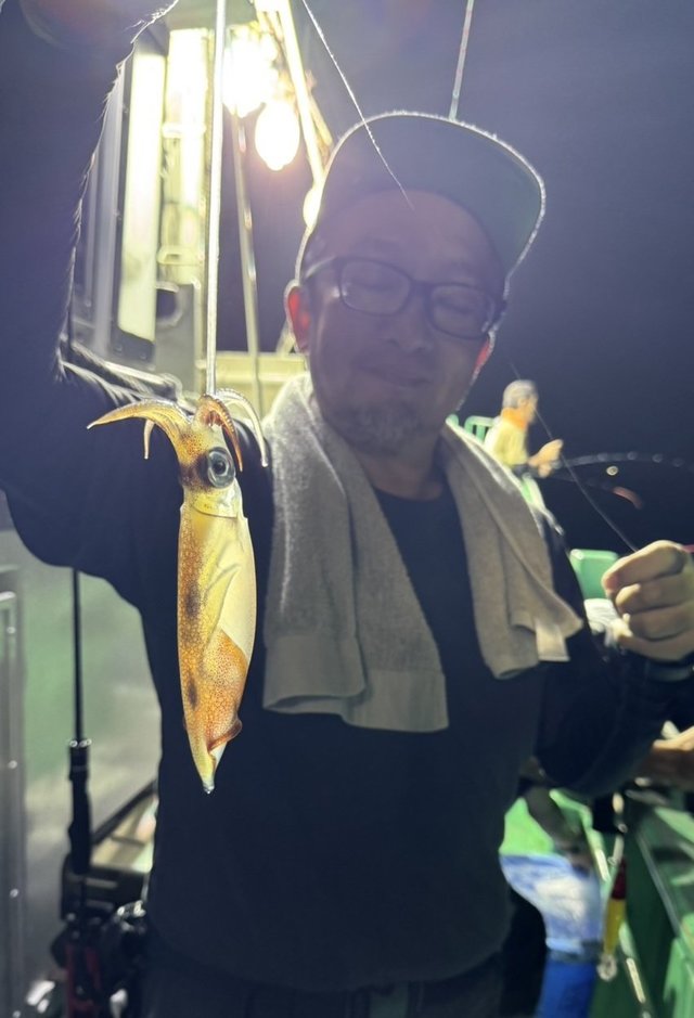 マルイカ(ケンサキイカ)