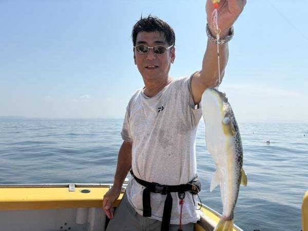 ショウサイフグ