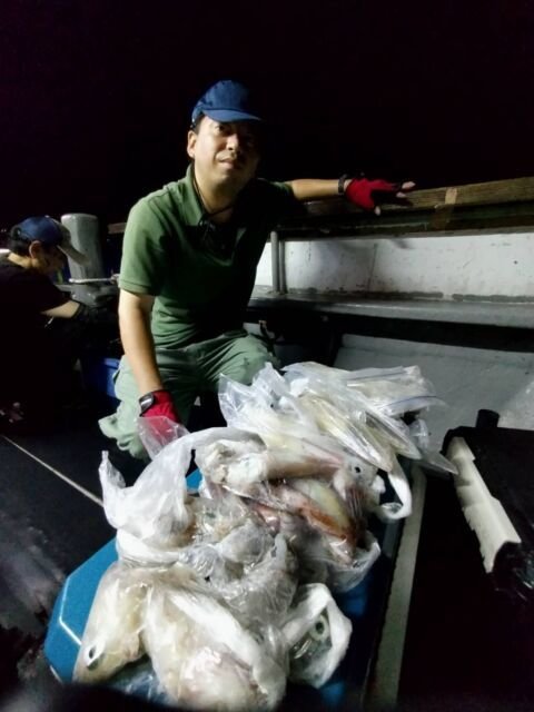 イカ(ヤリイカ)