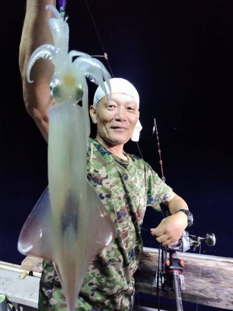 イカ(ヤリイカ)