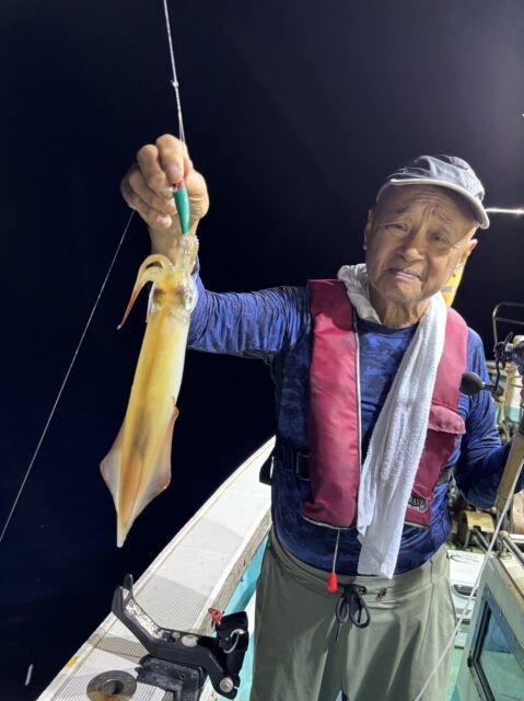 マイカ(ケンサキイカ)