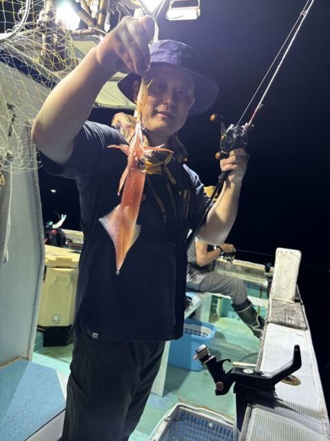 マイカ(ケンサキイカ)