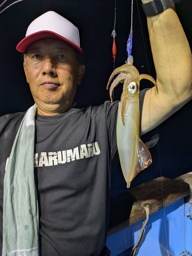 マルイカ(ケンサキイカ)