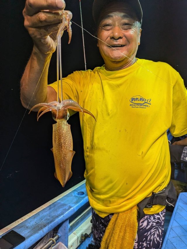 マルイカ(ケンサキイカ)