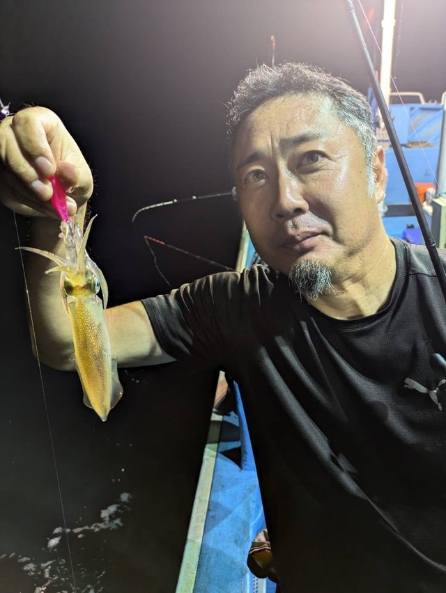 マルイカ(ケンサキイカ)