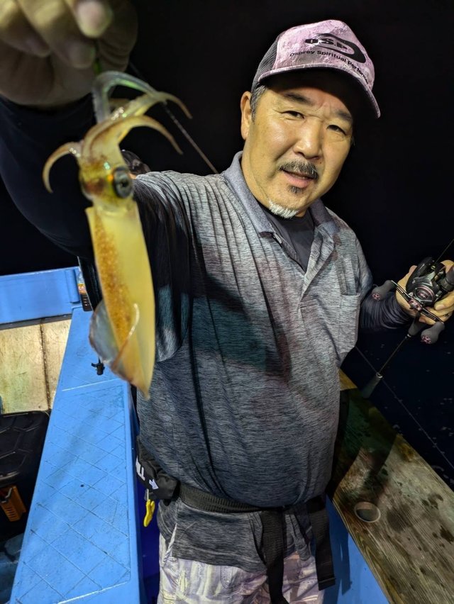 マルイカ(ケンサキイカ)