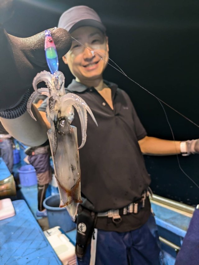 マルイカ(ケンサキイカ)