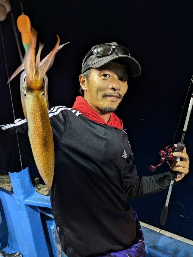 マルイカ(ケンサキイカ)