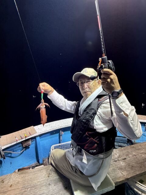 マイカ(ケンサキイカ)