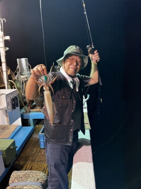 マイカ(ケンサキイカ)