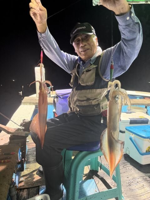 マイカ(ケンサキイカ)