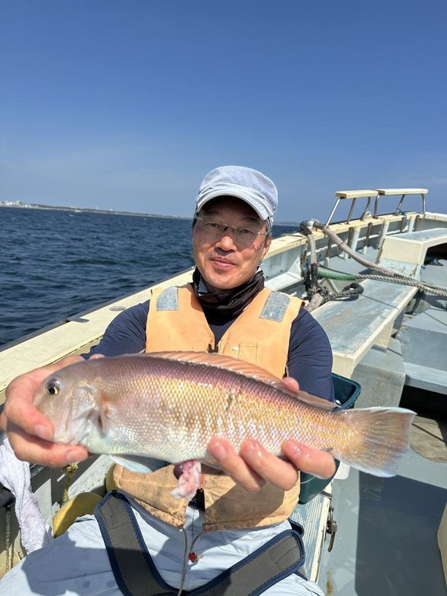 アマダイ(アカアマダイ)