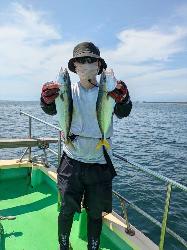 ワカシ(ブリ)・イナダ(ブリ)