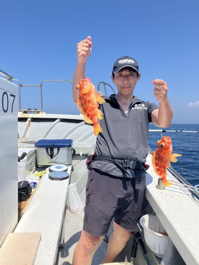 ウッカリカサゴ