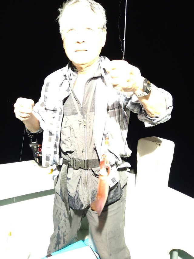 イカ(ケンサキイカ)