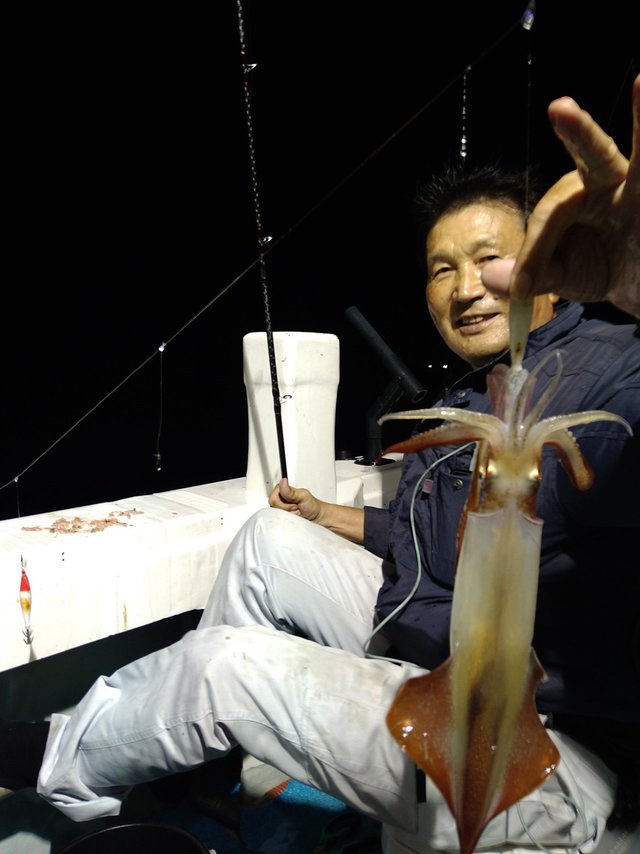 イカ(ケンサキイカ)