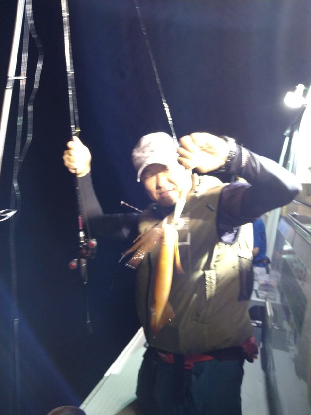 イカ(ケンサキイカ)