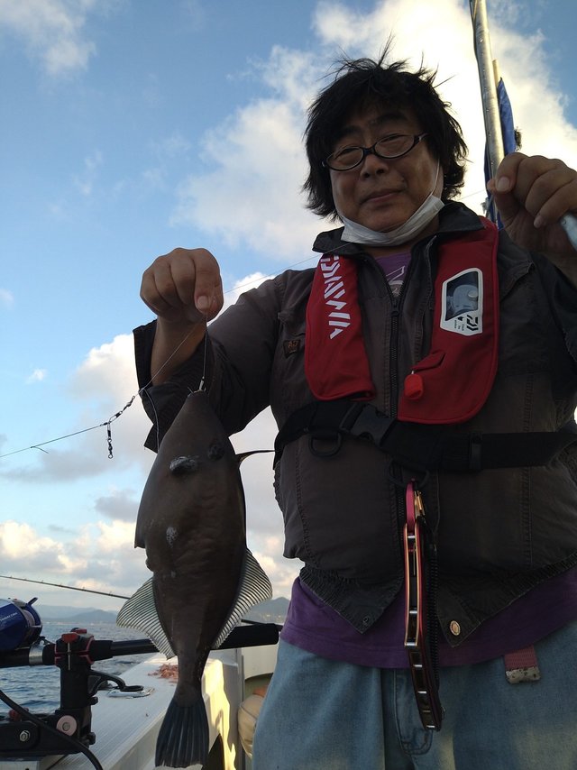 イカ(ケンサキイカ)