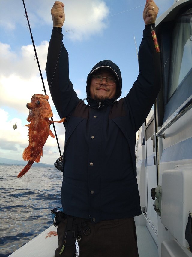 ガシラ(カサゴ)