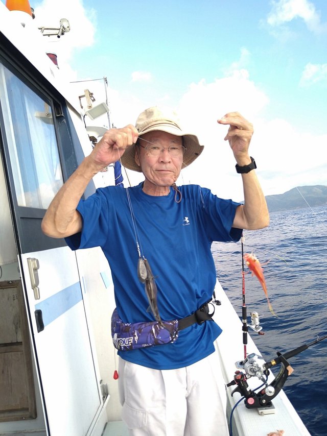 ガシラ(カサゴ)