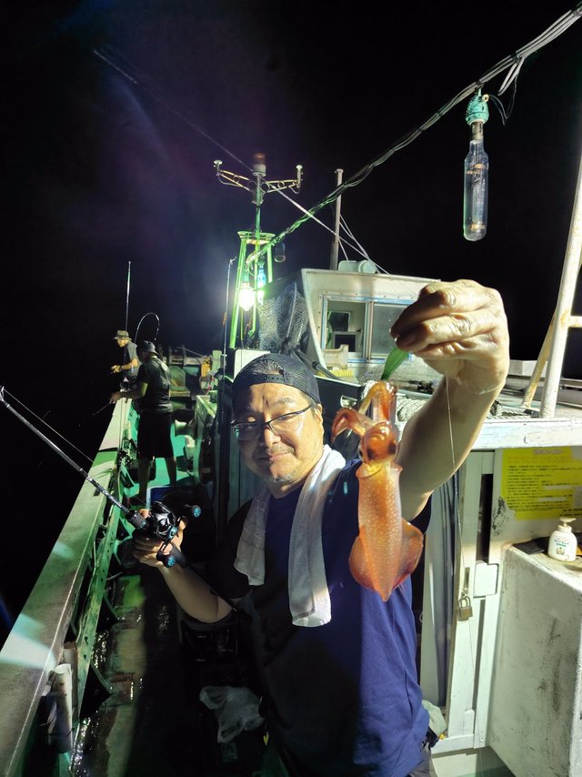 シロイカ(ケンサキイカ)