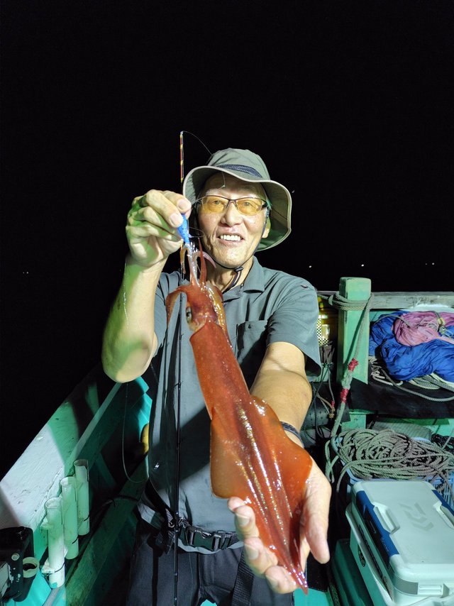 シロイカ(ケンサキイカ)