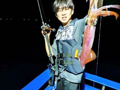 マイカ(ケンサキイカ)