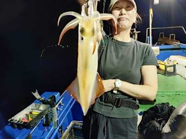 マイカ(ケンサキイカ)