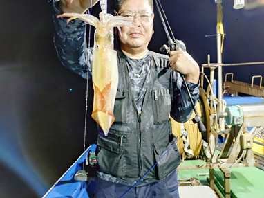 マイカ(ケンサキイカ)